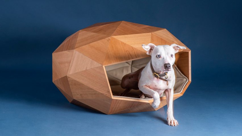 Image of a dog leaving the Dome-Home dog kennel