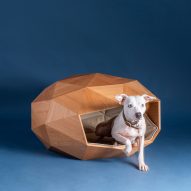 A dog is pictured inside the dog kennel