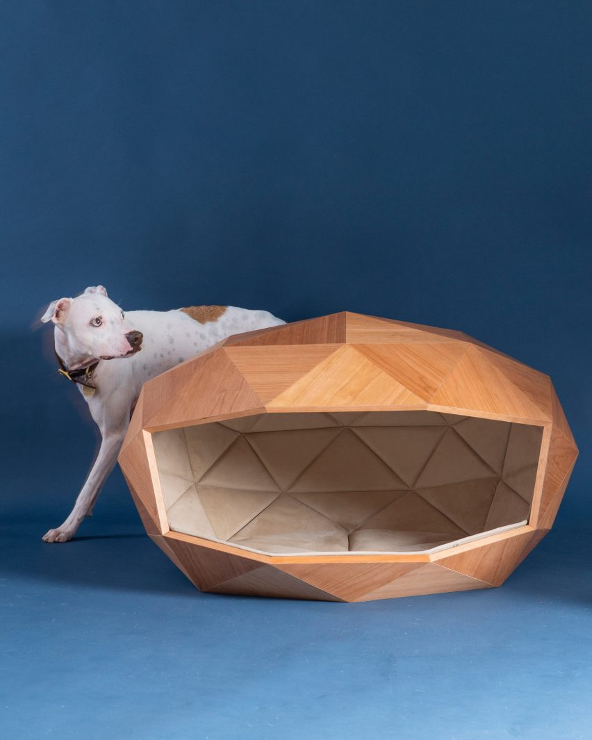 Dome-home is a geodesic dog kennel by Foster + Partners