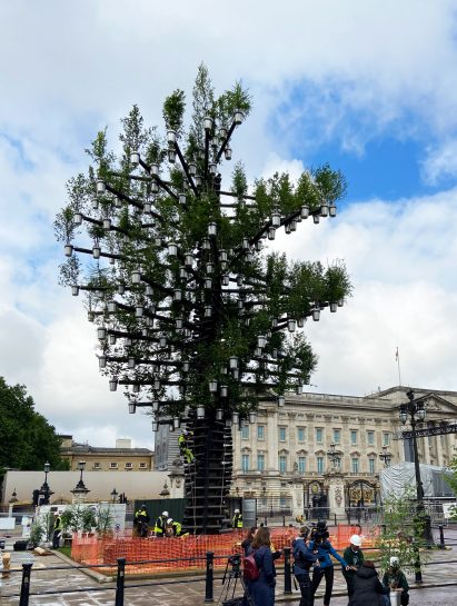 Heatherwick's Tree of Trees at Buckingham Palace