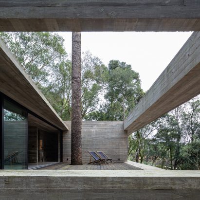 Luciano Basso raises concrete home around tree in southern Brazil