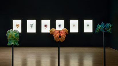 Neri Oxman exhibition at SFMOMA