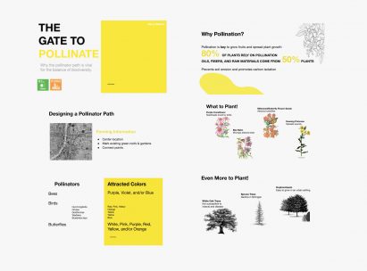 A visual graphic of the pollination process
