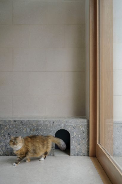Arched entryway for cat
