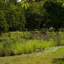 Pollinator Pathmaker at Kensington Gardens, Hyde Park