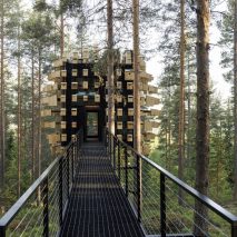 Dezeen Debate newsletter features a treehouse hotel room by BIG