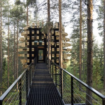 Dezeen Debate newsletter features a treehouse hotel room by BIG
