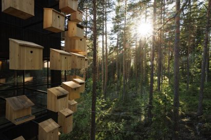 Biosphere treehouse at the Treehotel