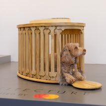 A spaniel is pictured inside of Bonehenge