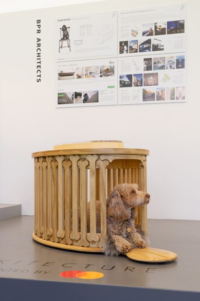 Image of a dog in the Bonehenge dog kennel