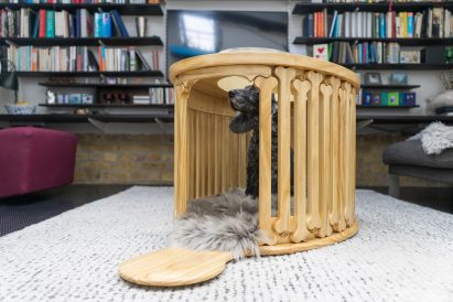 Bonehenge was constructed using timber
