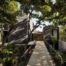 Estudio MMX