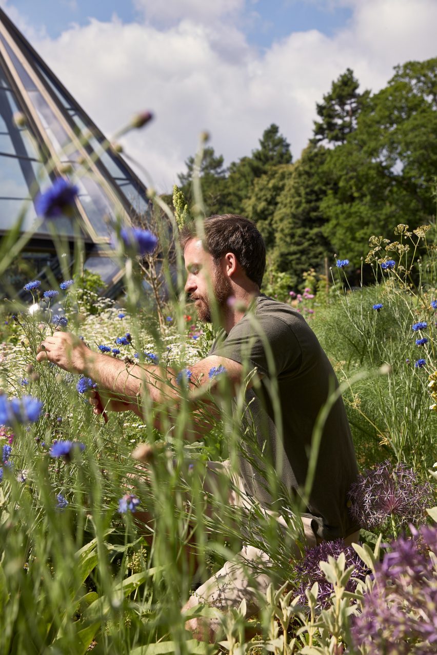 Gardener at the Glasshouse by Heatherwick Studio