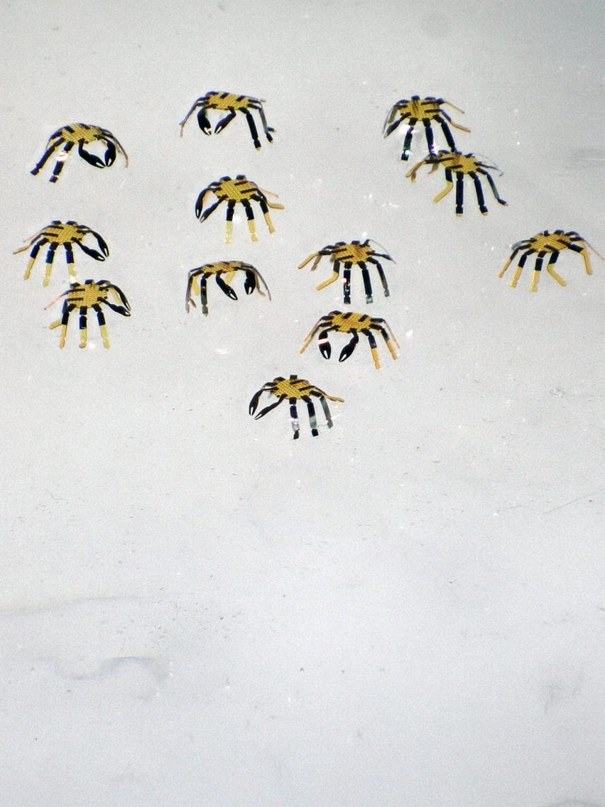 Group of tiny robot crabs