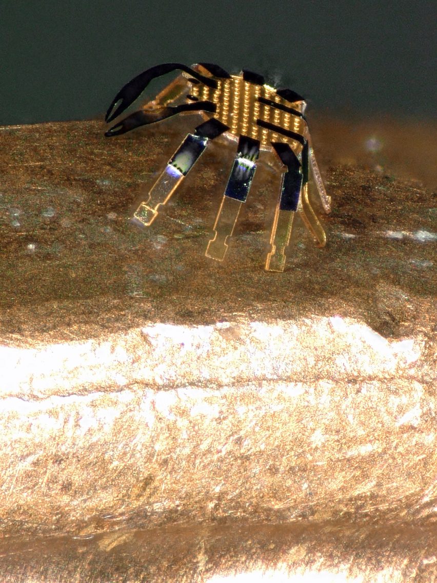 Tiny robot crab standing on the edge of a coin