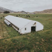 Automated Range Coop by Pasturebird