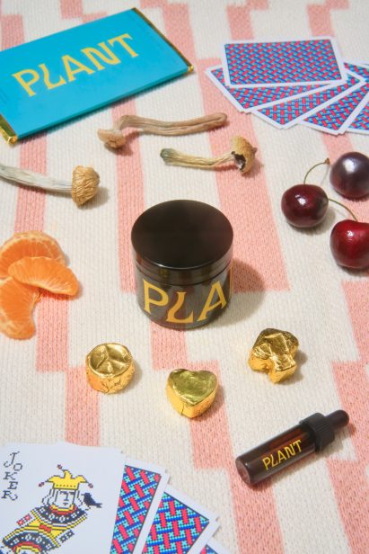 Flatlay of PLANT psilocybin products on a table including chocolates, tinctures and raw mushrooms