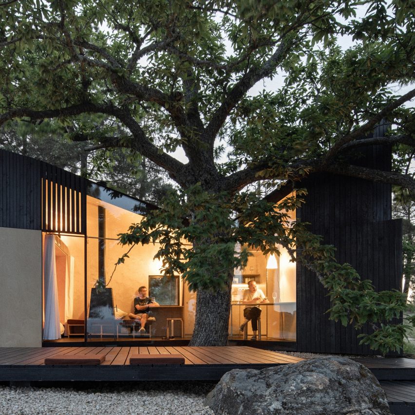 Chestnut House by João Mendes Ribeiro