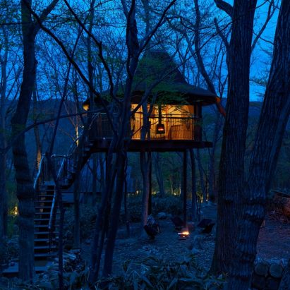 Tree Hut on Volcano by Hiroshi nakamura & NAP