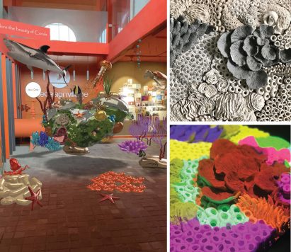 A variation of different colours of coral and other sea life