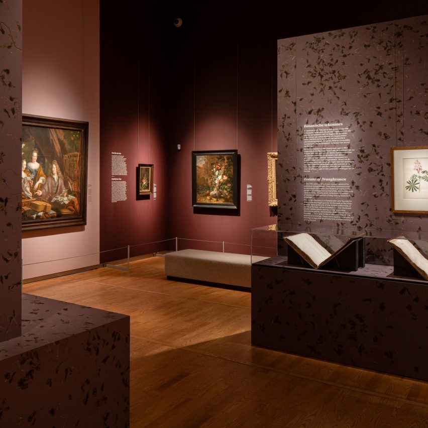 Mauritshuis – In Full Bloom