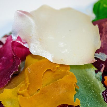 SeaCo: A Seaweed-Based Biodegradable Material by SeaCo Designs