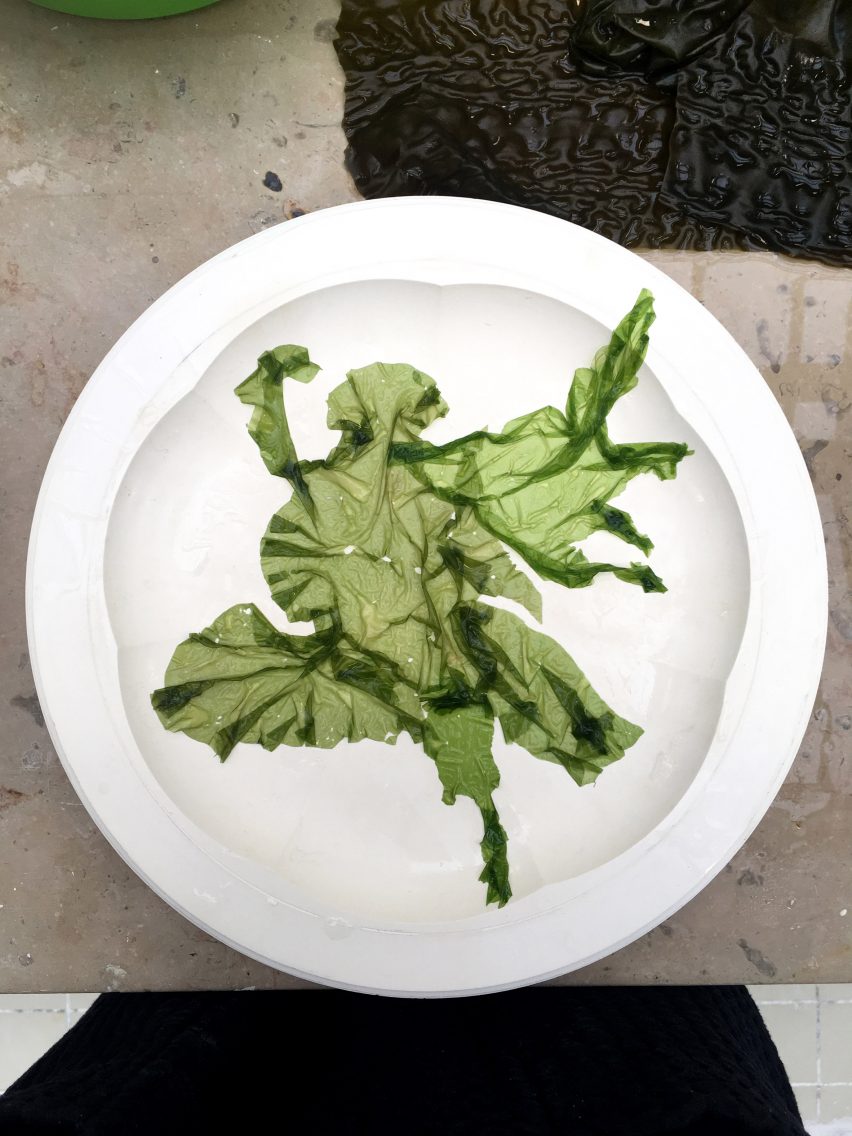 Future-Proof Plating by Carolien Niebling
