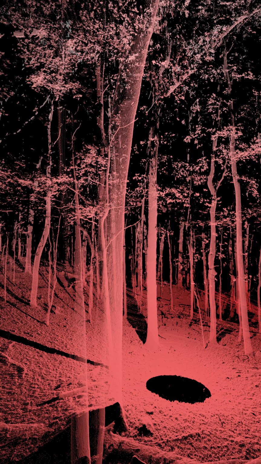 Cambio: On Finnish Forestry