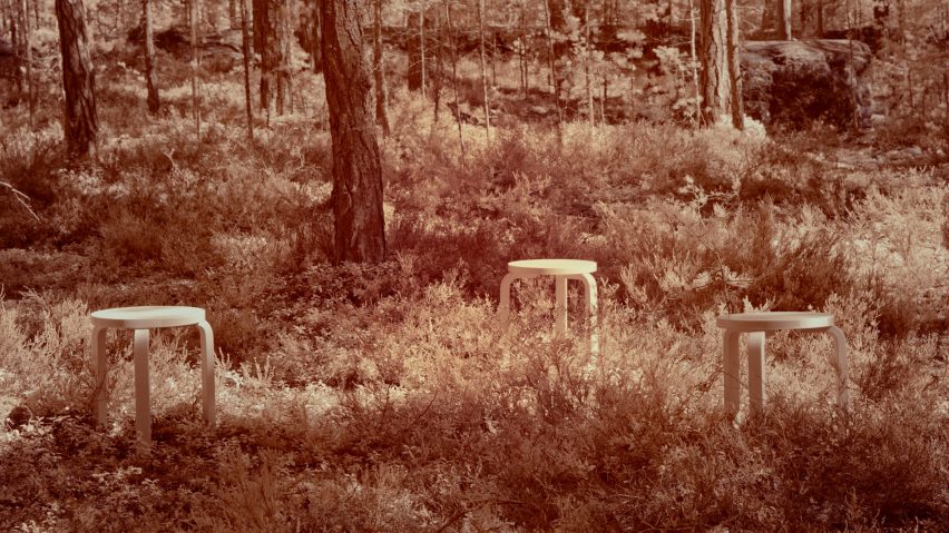 Cambio: On Finnish Forestry