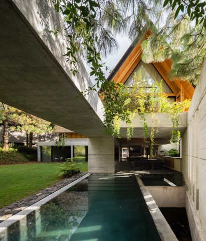 Estudio MXX swimming pool