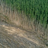 Deforestation