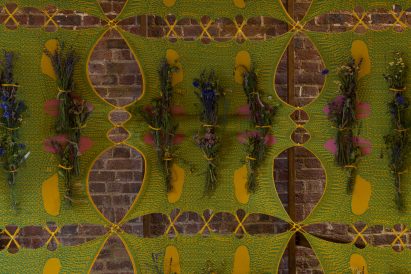 Plant cuttings