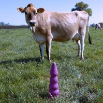 Ece Tan designs sex toys for cows to make farming practices more pleasurable
