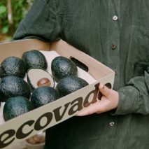 Ecovado by Arina Shokouhi