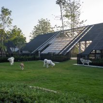 EKAR's Dog/Human House in Thailand