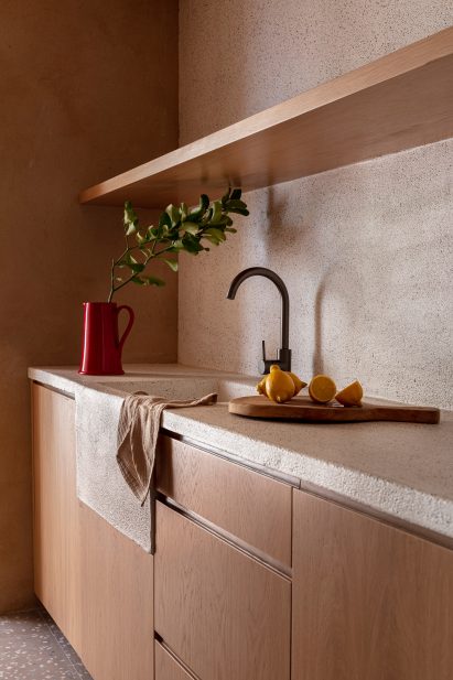 A sink and worktop with plants and fruit