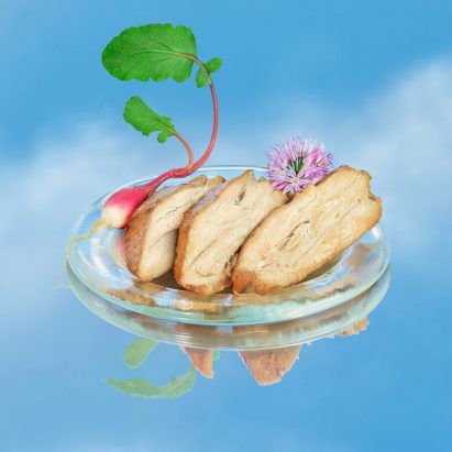 Air Meat by Air Protein