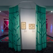 Radical Rooms exhibition