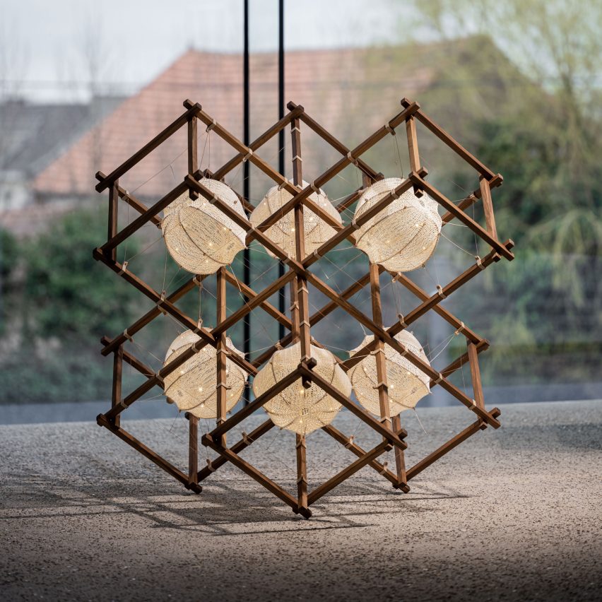 Volare S6 Afrormosia by Sjang Niederwieser