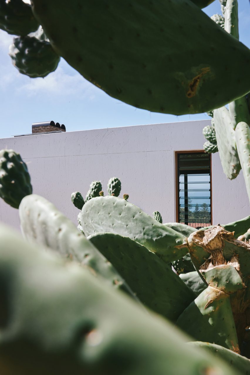 Exterior of Yvette van Zyl's self-designed home in South Africa