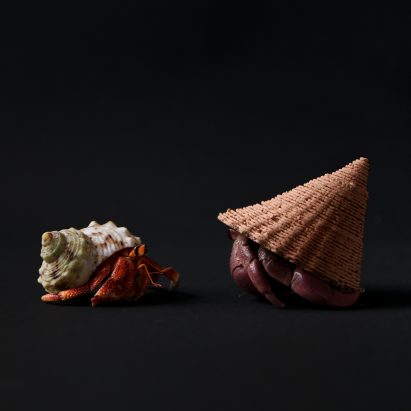 Shellter by Vo & Airro