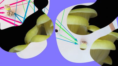An abstract colourful design with photographic elements by student at Central Saint Martins