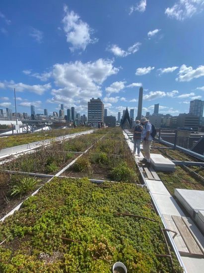 A photograph of a green space in Toronto