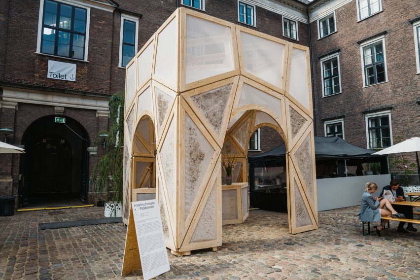 Chart Art Fair pavilion aims to investigate the potential of mycelium