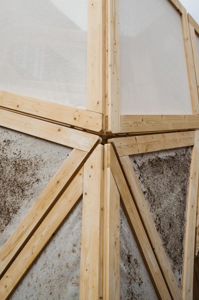 Inhabiting Ecologies pavilion at Chart Art Fair