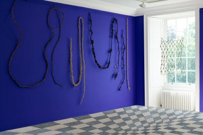 Biomaterial ropes and nets