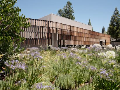 Synagogue with wooden lattice and wildflower