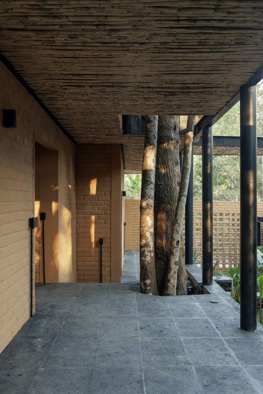 Casa Patio by Herchell Arquitectos