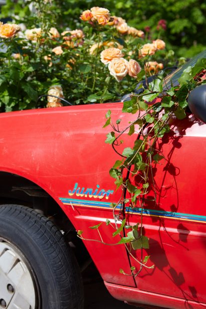 Overgrown red car that says Junior on the side
