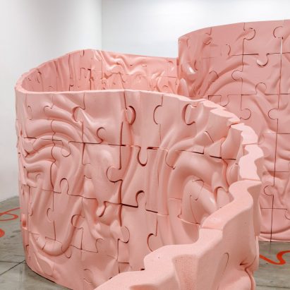 Brain installation
